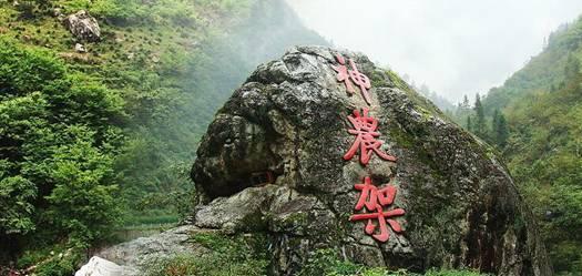 午时的猎人无敌版